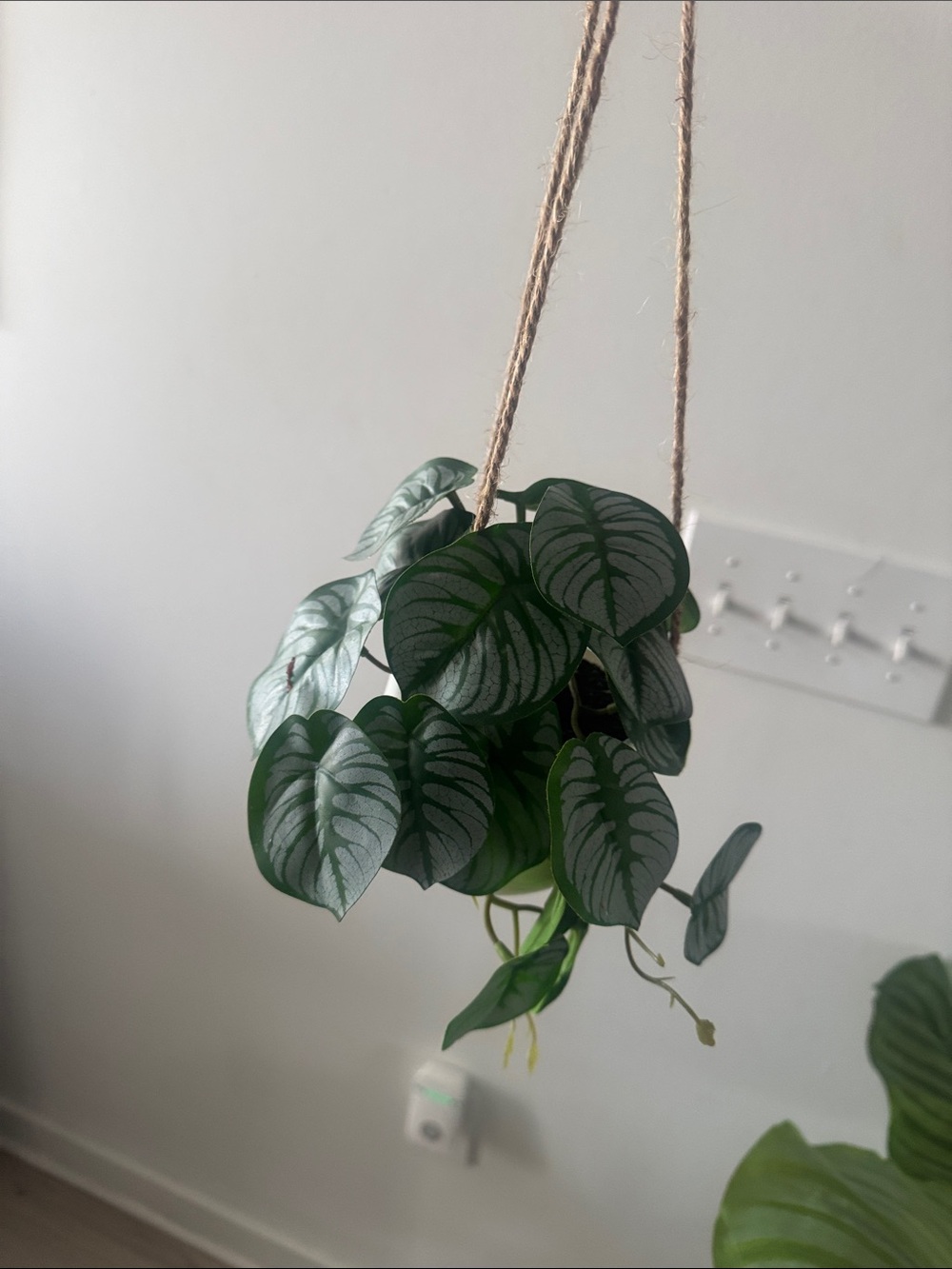 Hanging Wall Plant Decor - Green Silver Leaf Sculpture